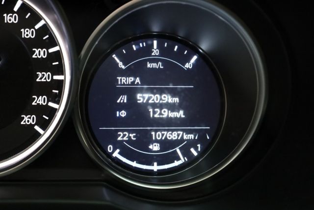 環景旗艦版 原鈑件 定期保養 里程保證 有ACC IKEY 電動座椅  第17張相片