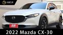 Proactive Touring 原版件 定期保養 里程保證 ACC跟車 摸門  第1張縮圖