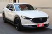 Proactive Touring 原版件 定期保養 里程保證 ACC跟車 摸門  第3張縮圖