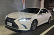 豪華版 一手車 原版件 定期保養 里程保證 天窗 ACC跟車 摸門 雙前電動椅  第1張縮圖