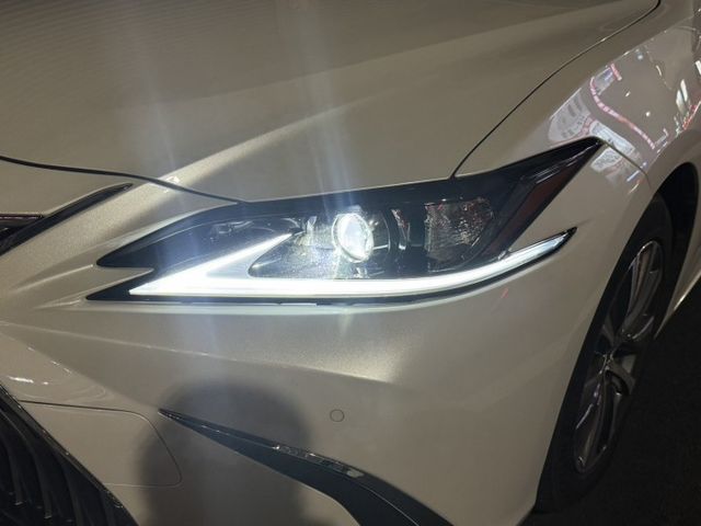 豪華版 一手車 原版件 定期保養 里程保證 天窗 ACC跟車 摸門 雙前電動椅  第3張相片