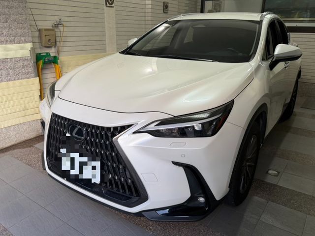 豪華版 一手車 原鈑件 跑兩萬七 原廠保養 里程保證 新車保固中  第1張相片