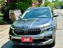 1.0TSi 全新領牌車 原廠保固到2028.07 IKEY ACC跟車 車道維持 盲點偵測 電動尾門 駕駛座電動椅  第1張縮圖