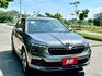 1.0TSi 全新領牌車 原廠保固到2028.07 IKEY ACC跟車 車道維持 盲點偵測 電動尾門 駕駛座電動椅  第2張縮圖