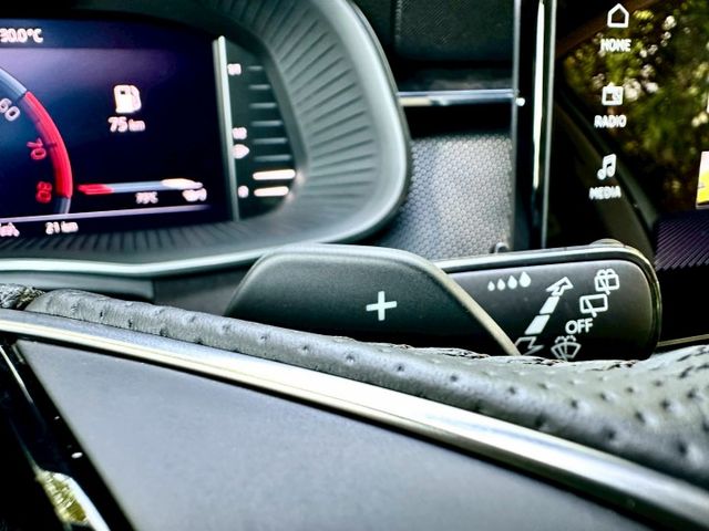 1.0TSi 全新領牌車 原廠保固到2029.01 IKEY ACC跟車 車道維持 盲點偵測 電動尾門 駕駛座電動椅  第13張相片