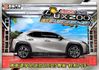 超新車況超低里程~僅跑2萬原廠保固中~跟車+360環景+盲點+手機投影+雙前電熱椅+行車紀錄器~高品質可全貸~快來電喔~  第5張縮圖