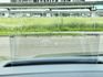 【全場認證五大保固】認證車 1.5旗艦版 全景天窗 Acc 盲點 CarPlay BO音響 腳踢電尾門 一手車原鈑件  第11張縮圖