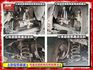 【全場認證原廠保固】認證車 新車138萬 X-Line版 4WD HK音響 雙加熱通風座椅 環景 電尾門 一手車原廠保養  第19張縮圖