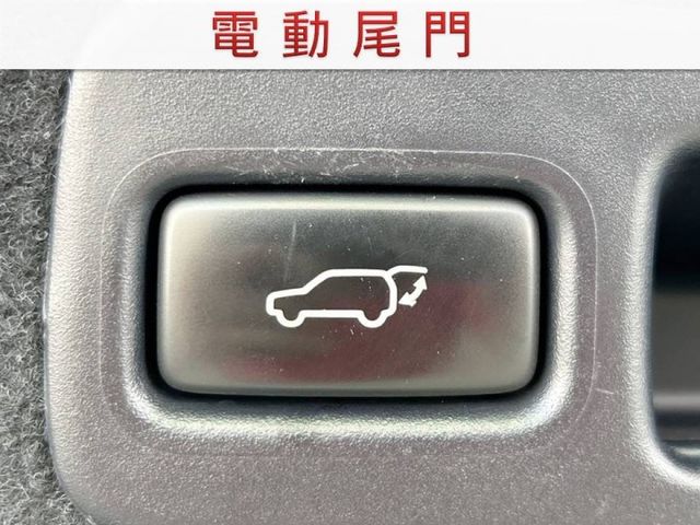 頂級版/原鈑件/10安/大電池已更換/右側影像輔助/全景天窗/電動尾門/四條米其林輪胎九成新/YES認證/里程保證  第16張相片