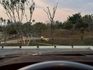 530i Msport 原鈑件 5AT 天窗 360環景 抬顯 L7音響 電吸門 電尾門  第9張縮圖