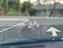 Focus Wagon ST-Line V版  原鈑   里程極低   原廠保固至2029(3+3加值型保固)  第9張縮圖