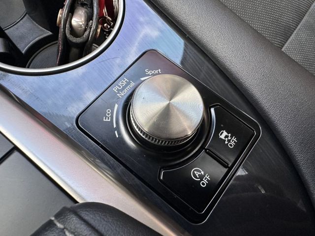 潔承汽車｜RX300｜2.0｜頂級版｜小改款｜衛星導航｜ACC跟車｜電動尾門｜原鈑件｜僅跑11萬5｜認證車  第10張相片