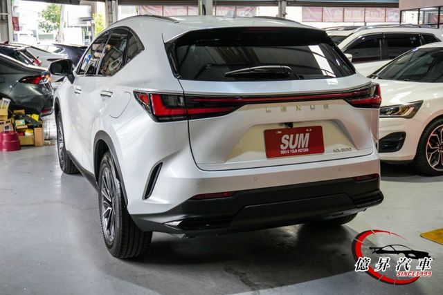 360環景、ACC、車道置中、AEB，LSS 3.0，豪華特仕版，新車價196萬  第5張相片