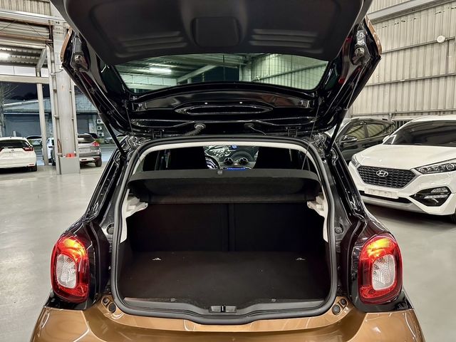 SMART斯麥特 FORFOUR  第31張相片