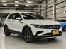 VOLKSWAGEN福斯 TIGUAN  第2張縮圖