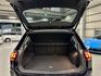 VOLKSWAGEN福斯 TIGUAN  第19張縮圖