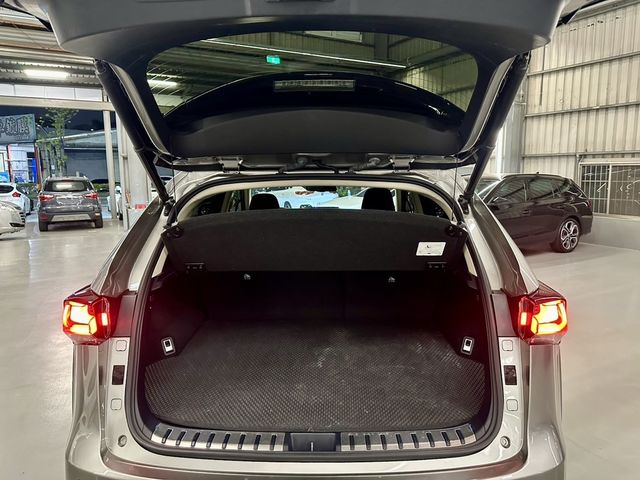 LEXUS凌志 NX300H  第19張相片