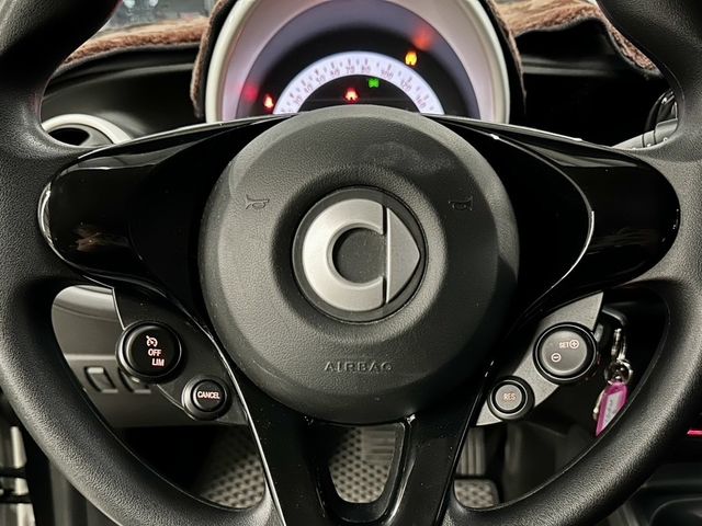 SMART斯麥特 FORFOUR  第15張相片