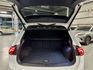 VOLKSWAGEN福斯 TIGUAN  第19張縮圖
