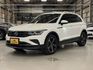 VOLKSWAGEN福斯 TIGUAN  第1張縮圖