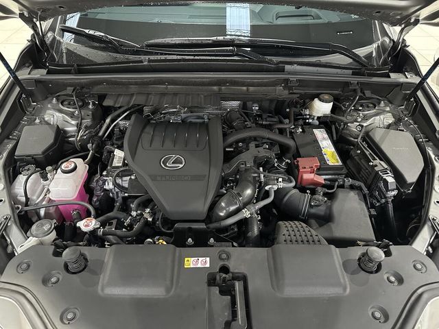 LEXUS凌志 NX350F SPROT  第6張相片