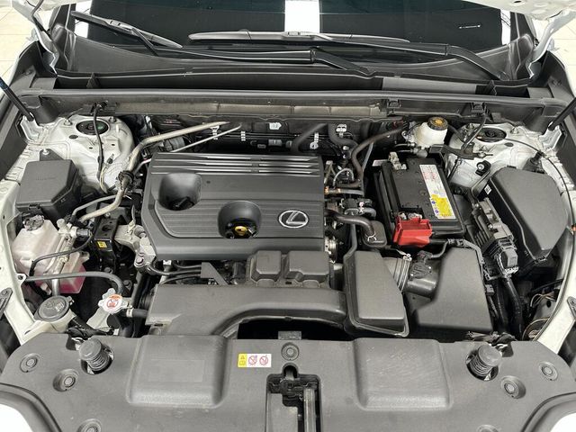 LEXUS凌志 NX200  第6張相片