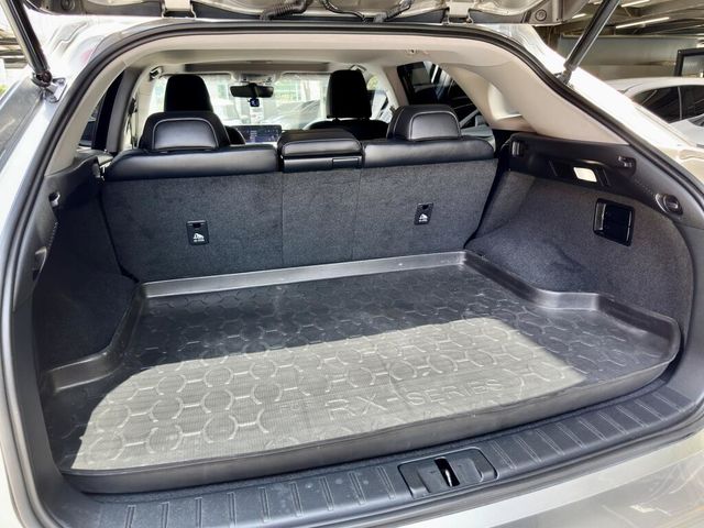LEXUS凌志 RX300  第20張相片