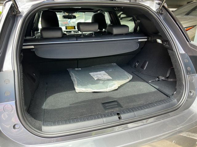 LEXUS凌志 CT200H  第19張相片