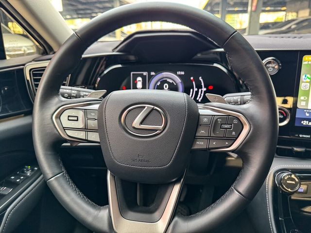 LEXUS凌志 NX300H  第16張相片