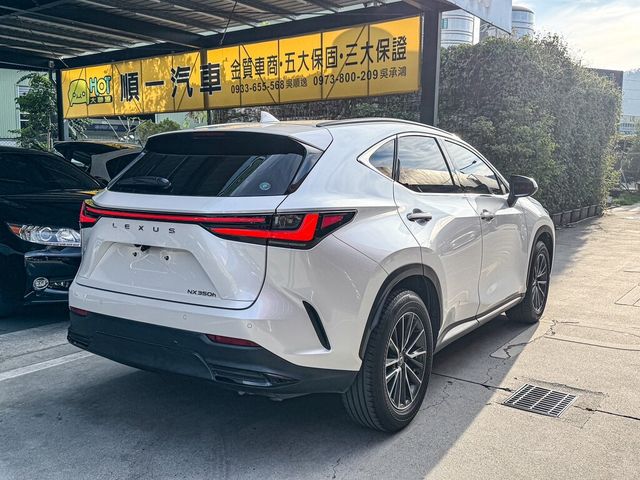 LEXUS凌志 NX300H  第19張相片