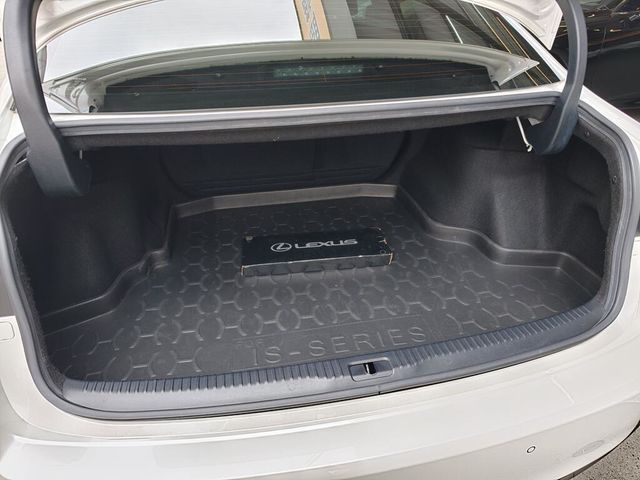 LEXUS凌志 IS 300  第20張相片