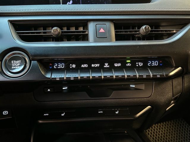 LEXUS凌志 UX250H  第14張相片