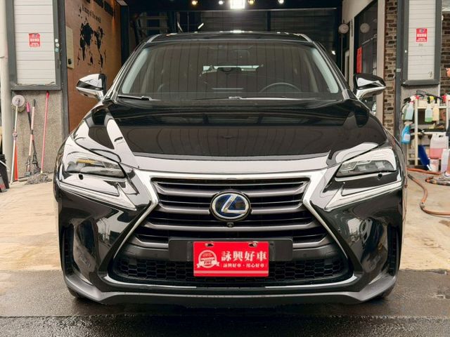 旗艦版 已更換大電池 I-KEY 摸門 天窗 9安 電尾門 導航 循跡 環景 4電動椅 恆溫 定速 盲點 ABS  第2張相片