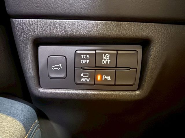 旗艦經典版 I-KEY 摸門 6安 電尾門 ACC 車道偏移 環景 雙電動椅 盲點 恆溫 定速 ABS  第18張相片