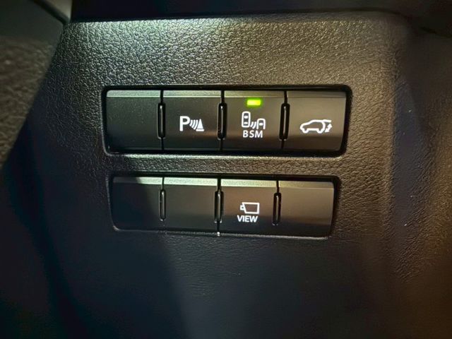 旗艦版 已更換大電池 I-KEY 摸門 天窗 9安 電尾門 導航 循跡 環景 4電動椅 恆溫 定速 盲點 ABS  第18張相片