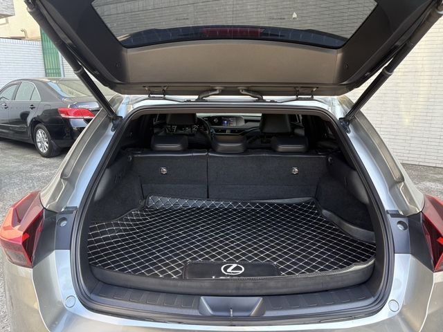 LEXUS凌志 UX250H  第10張相片