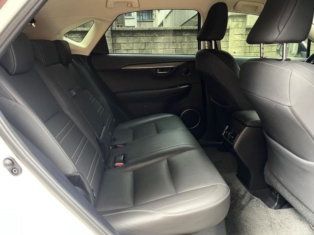 Lexus NX  第11張相片