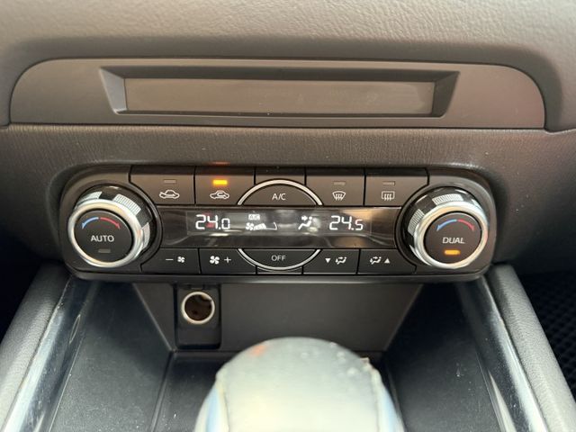 #實車實價#車道偏移#盲點#前後雷達#KEYLESS#抬頭顯示#LED頭燈  第14張相片