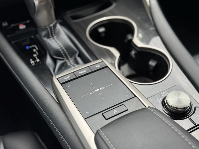 LEXUS凌志 RX300  第9張相片