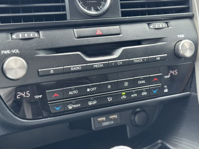 LEXUS凌志 RX300  第11張相片