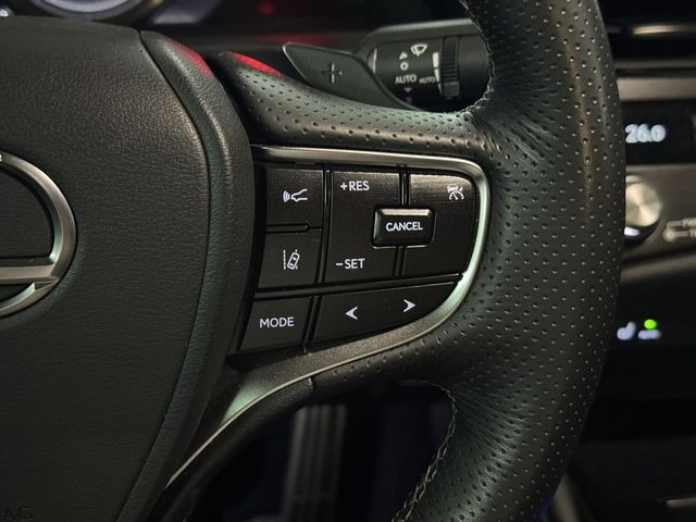 LEXUS凌志 ES300H  第13張相片