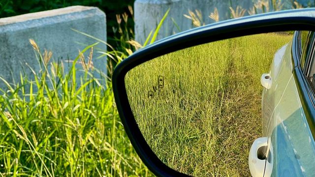 FORD福特 FOCUS  第13張相片