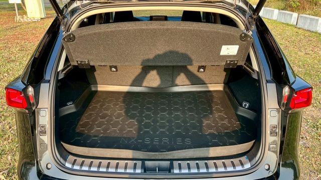 LEXUS凌志 NX200  第10張相片