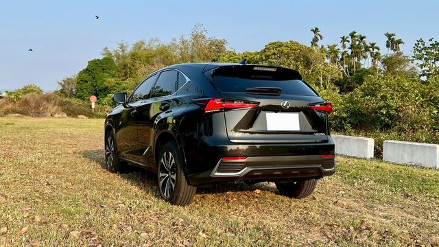 LEXUS凌志 NX200  第17張相片