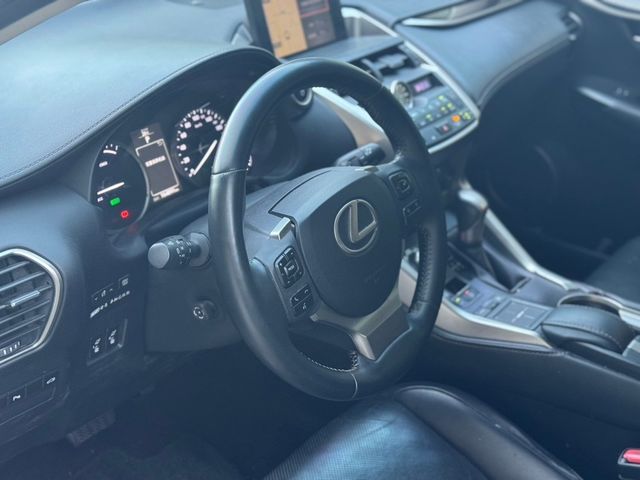 LEXUS凌志 NX300H  第5張相片