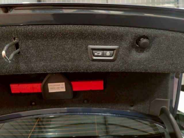 M SPORT 紀念版，定速,跟車/車道偏移/車道維持、ikey免鑰匙,麂皮座椅,360度環景、行車記錄器  第15張相片