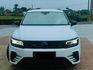 VOLKSWAGEN福斯 TIGUAN  第3張縮圖