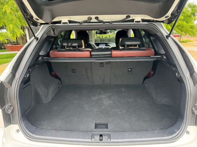 LEXUS凌志 RX270  第10張相片