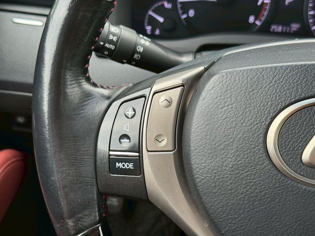 LEXUS凌志 RX270  第13張相片