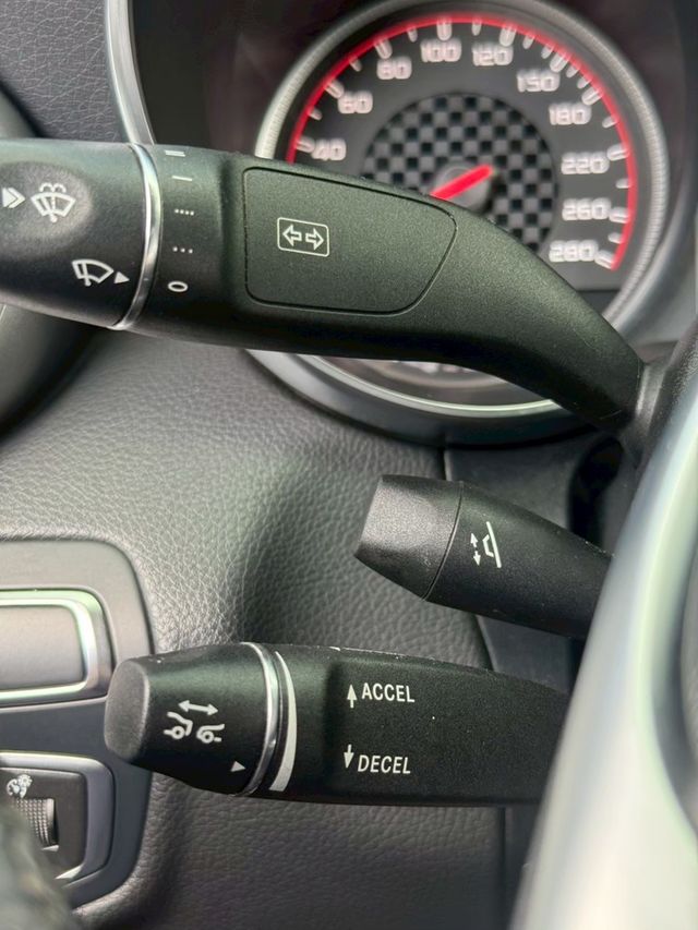 M-BENZ賓士 C43 AMG  第18張相片